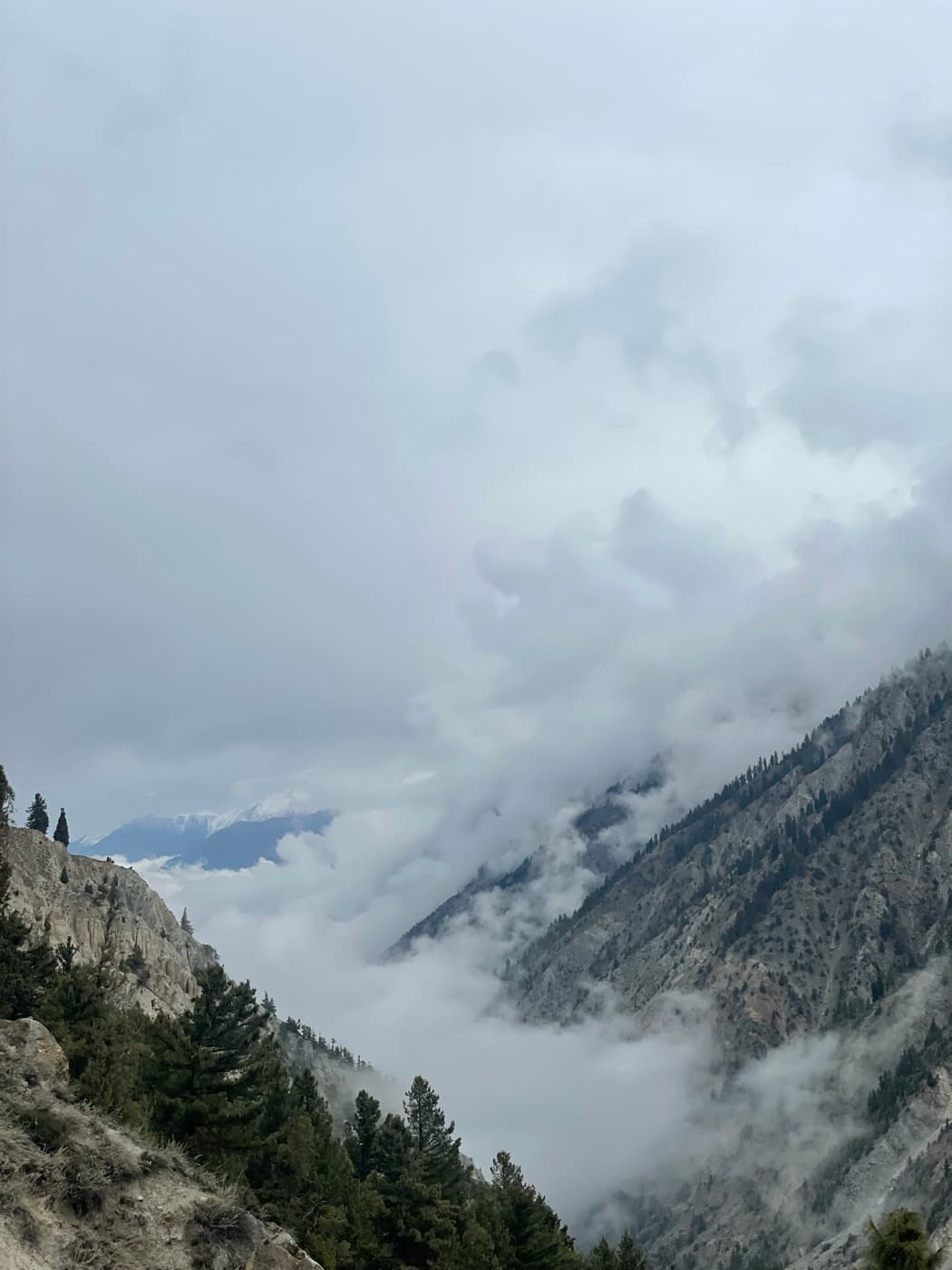 Fairy Meadows